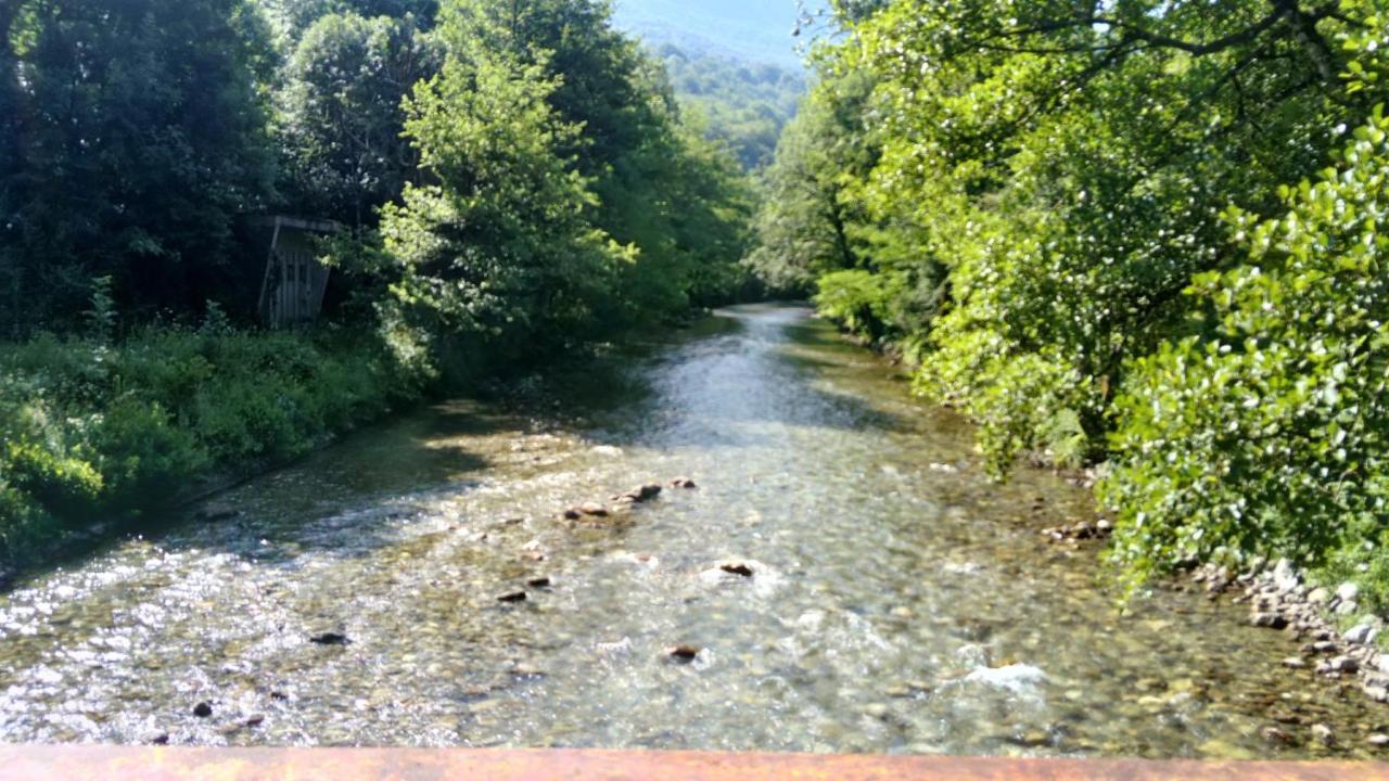 Tratincica Daire Tjentiste Dış mekan fotoğraf