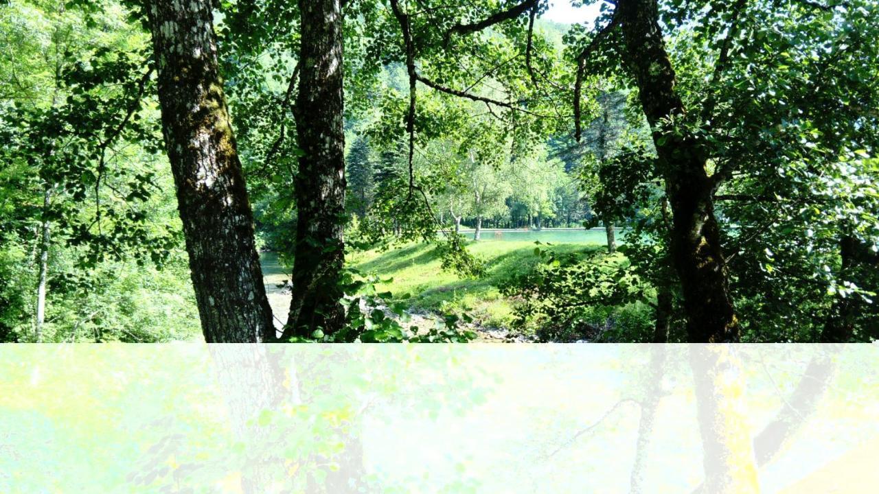 Tratincica Daire Tjentiste Dış mekan fotoğraf